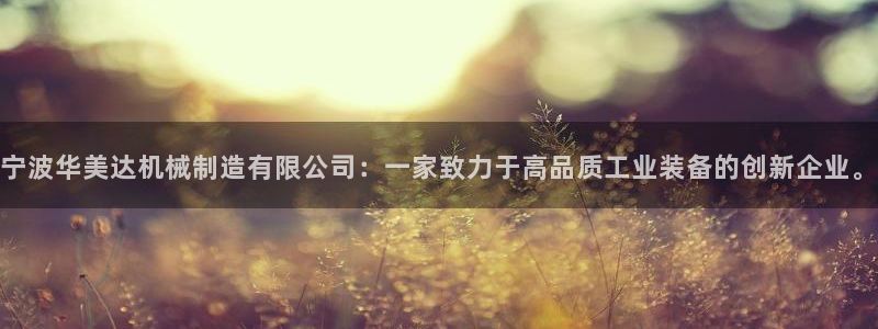 云顶电子游戏平台