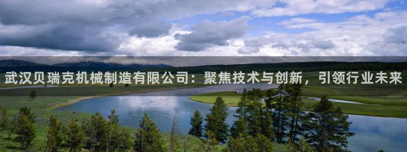 云顶集团网站多少