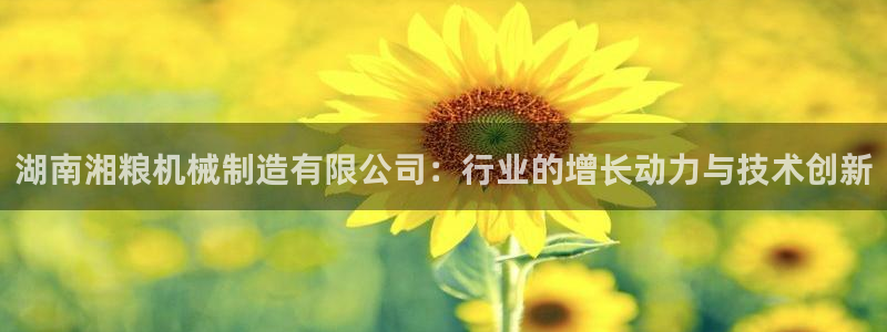 4008浏览器云顶下载