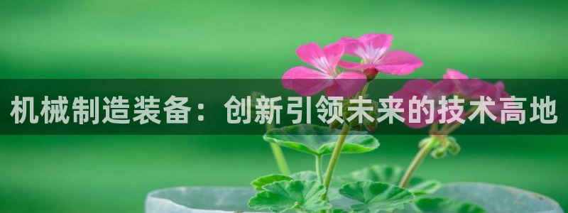 云顶集团老总简介