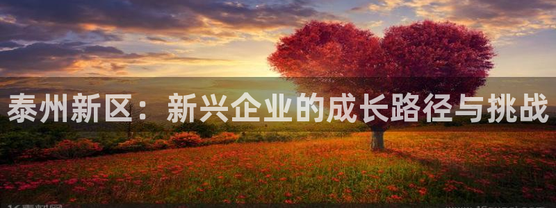 云顶国际城手机网址是多少