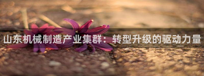 云顶国际测试服免费吗
