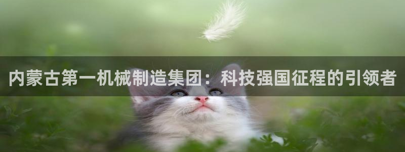 谁知道云顶的网站是多少