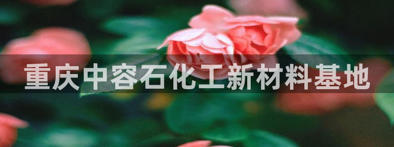 云顶国际高中学费多少钱