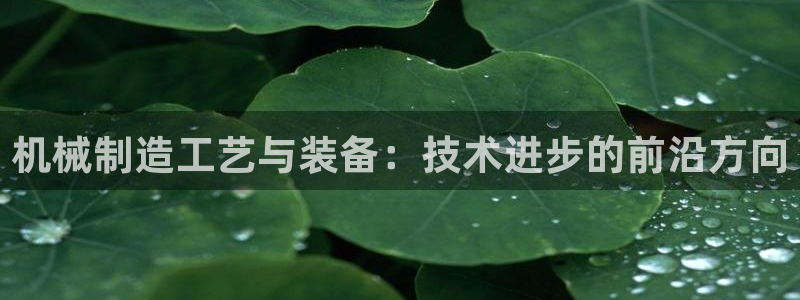 云顶国际取款多久到账户