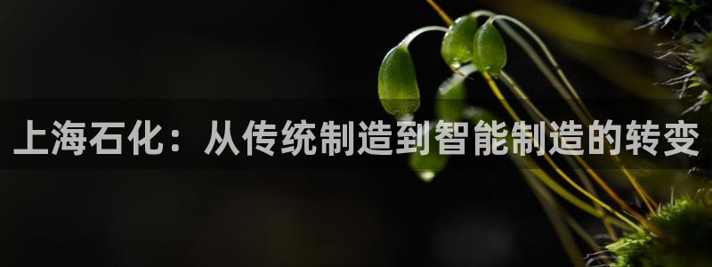 云顶电子游戏app