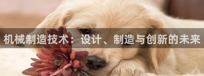 云顶集团网投领