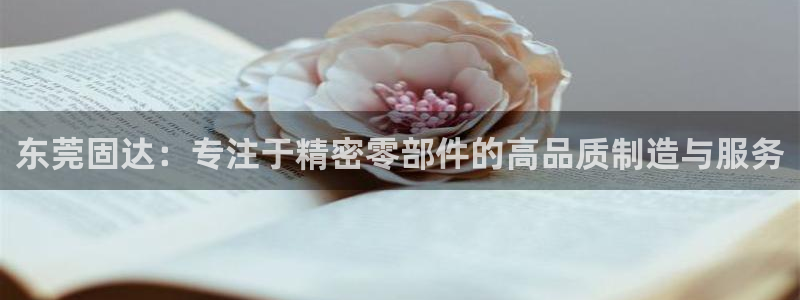 云顶网站是多少