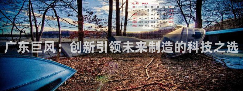 云顶集团有限公司简介图片