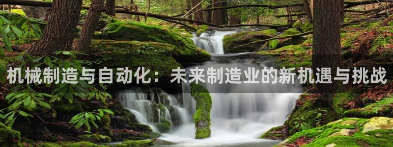 云顶国际高中d s e班学费多少