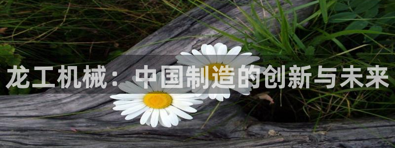 云顶国际中国官方网站下载