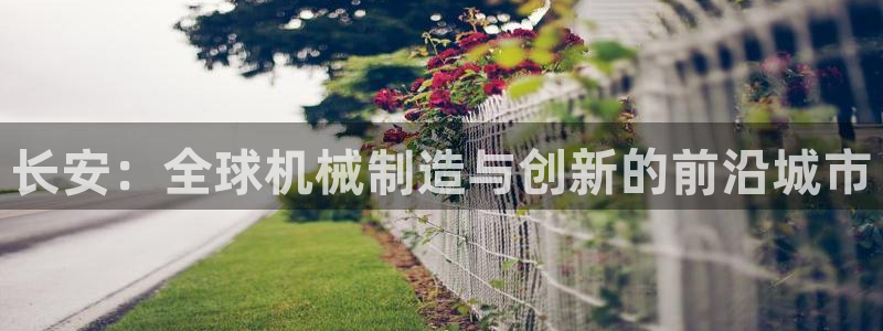 云顶国际服名字