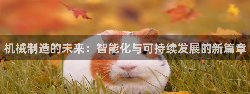 云顶国际提现不到账什么原因