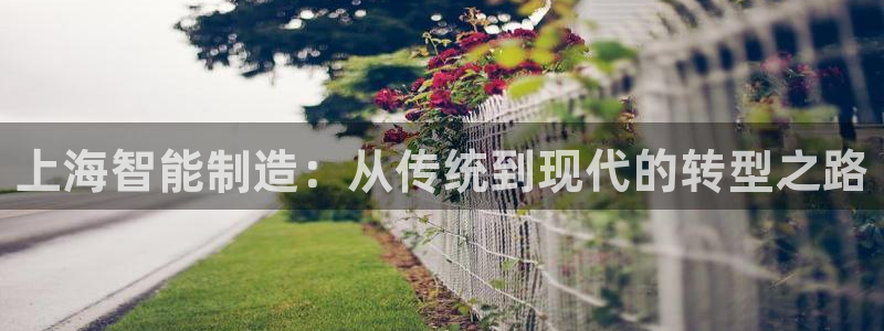 云顶国际提现不到账怎么办