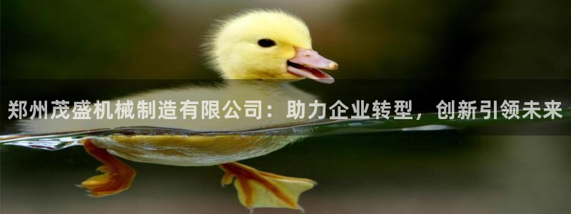 云顶国际是黑台吗还是白台