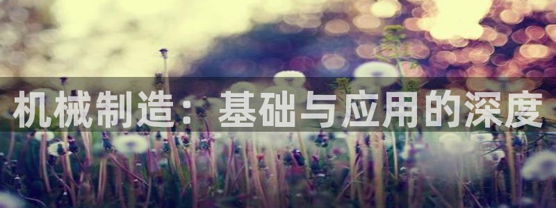 云顶国际集团游戏app