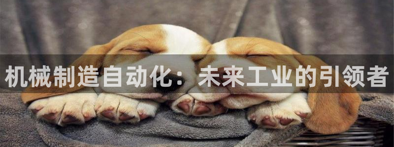 云顶国际装饰设计招聘