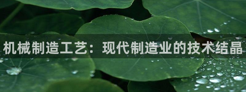 云顶集团董事长林东简历照片