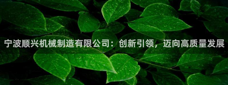 云顶国际物流官网