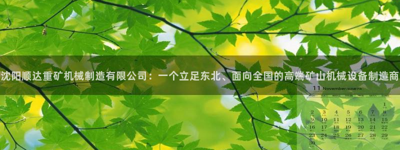 云顶国际app官方网站下载