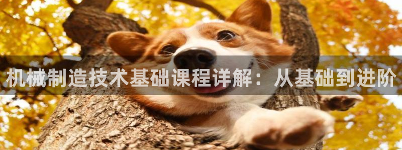 云顶国际部一年学费