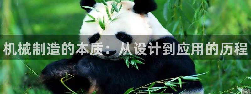 云顶网上官网