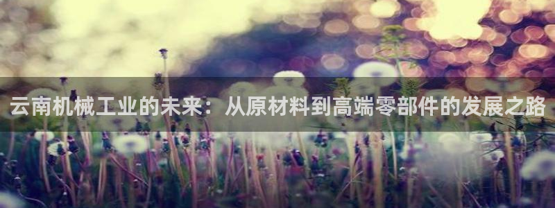 云顶国际官网官方下载