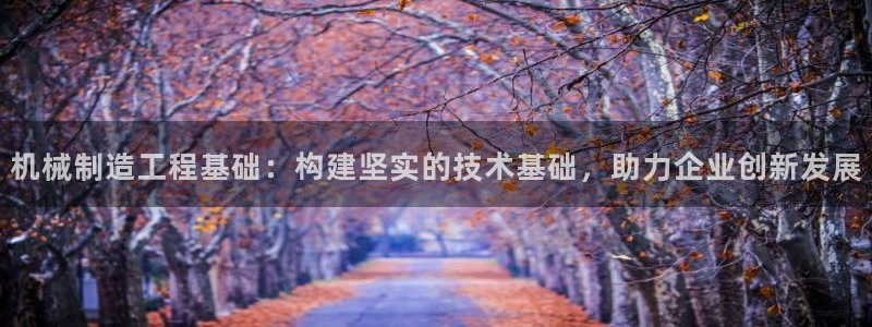 云顶国际服s6