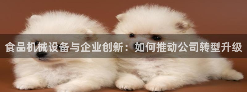 9559云顶国际
