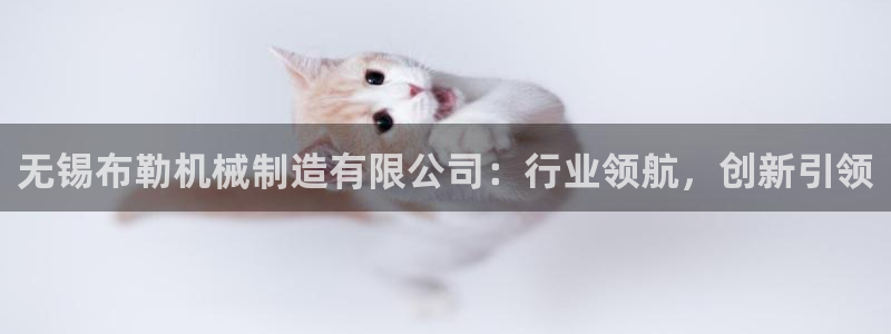 9559云顶国际