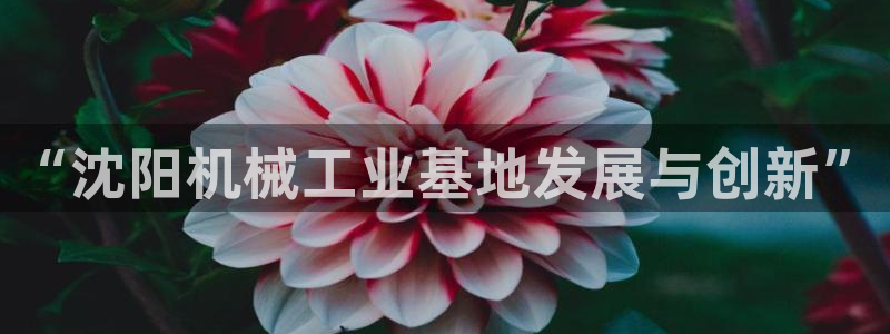 云顶国际服能用谷歌登录吗