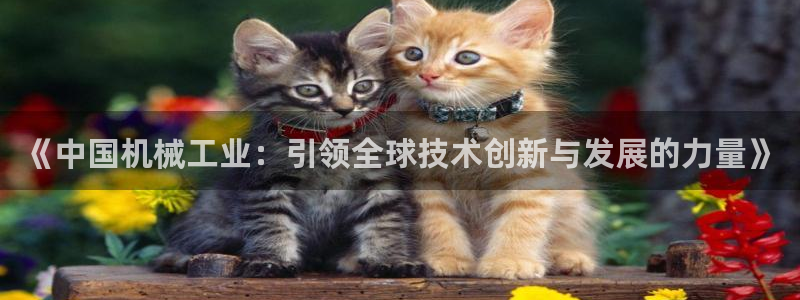 云顶集团简介