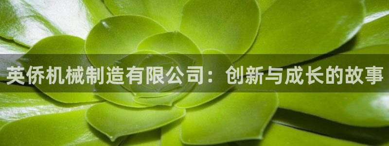 云顶网上官网