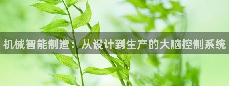 云顶国际部HKDSE