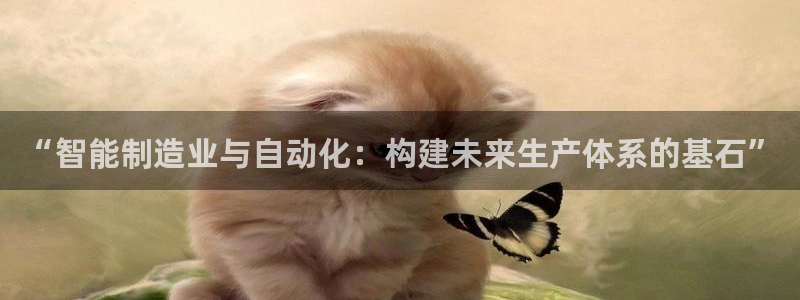 云顶国际是做什么的公司