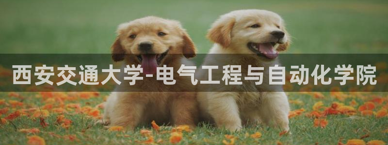 云顶国际房地产有限公司