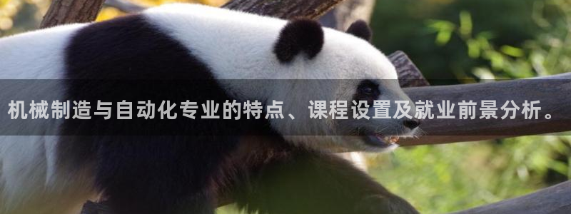 云顶集团3118acm官网