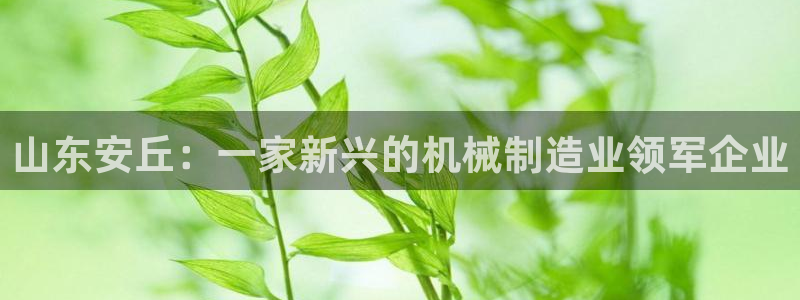 云顶国际太原店怎么样