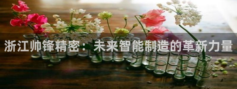 云顶国际服加速器