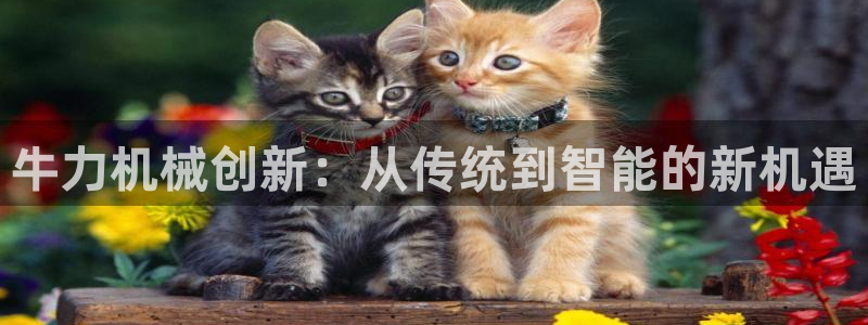 云顶集团游戏入口