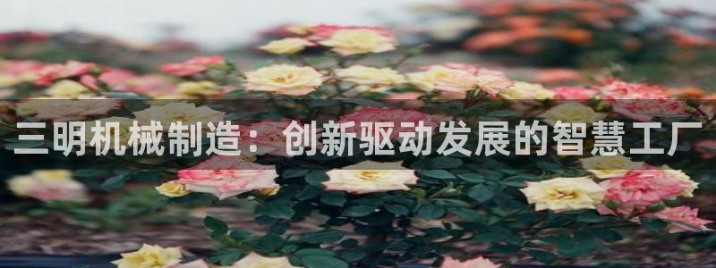 云顶国际游戏官方网站
