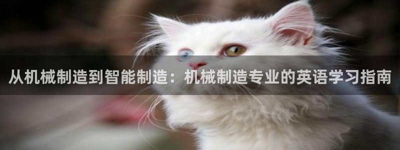 云顶集团账号怎么注册