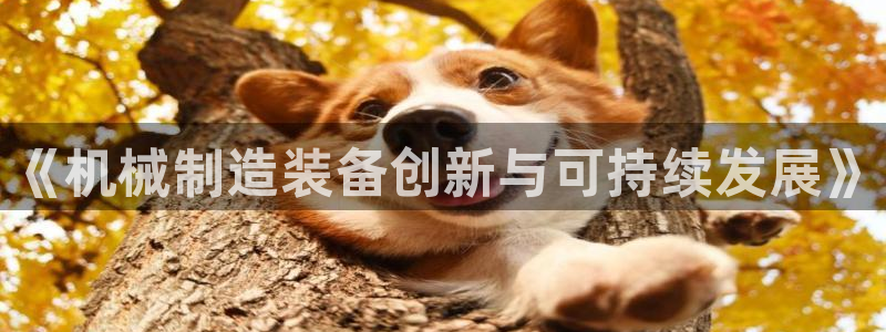 云顶12300线路
