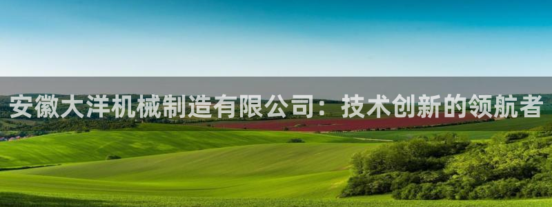 云顶集团公司 英文