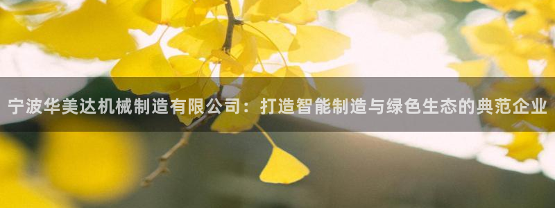 云顶国际服怎么下