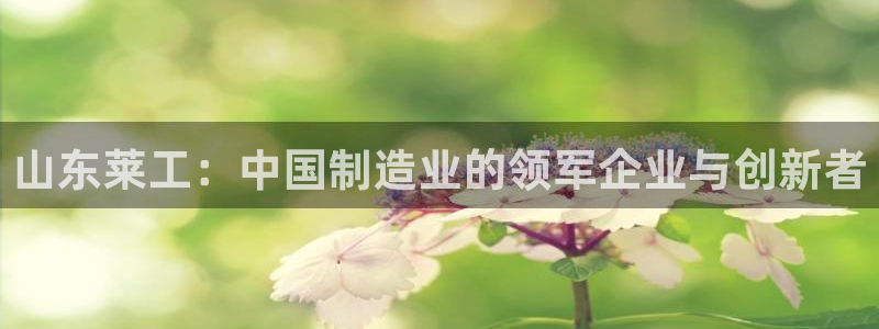 云顶国际官方网