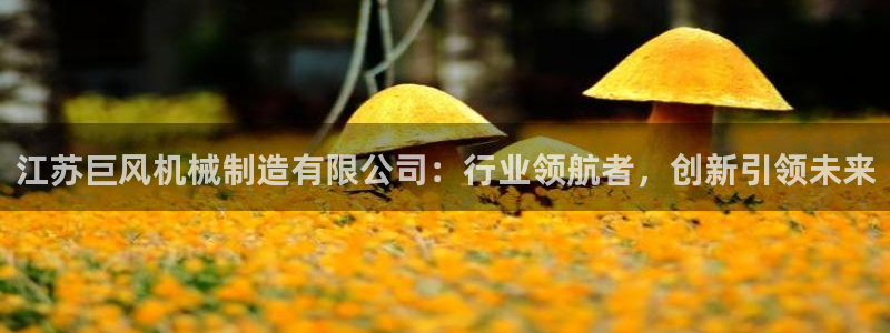云顶官网网址