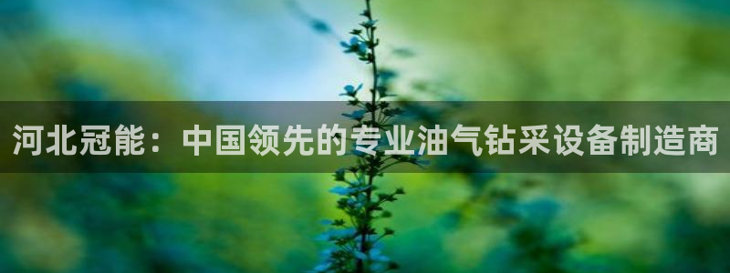 云顶国际服什么时候更新s90