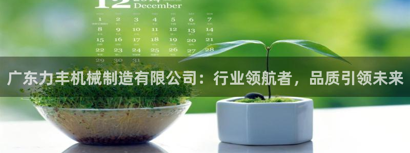 云顶集团网站app下载安装