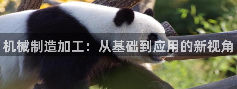 云顶国际商务会所怎么样